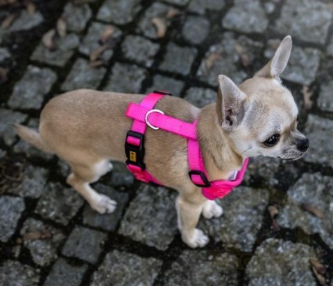 Dingo Szelki bezuciskowe z dwupaskową regulacją M różowe Dingo Szelki bezuciskowe z dwupaskową regulacją M różowe