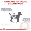 Royal Canin Veterinary Diet Canine Renal Small Dog 1,5kg