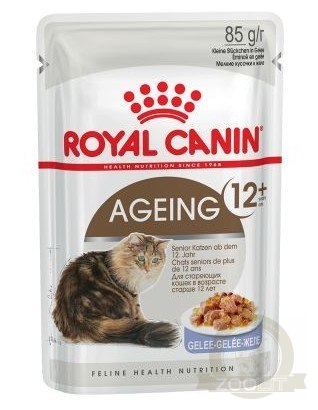 Royal Canin Ageing +12 karma mokra w galaretce dla kotów dojrzałych saszetka 85g Royal Canin Ageing +12 karma mokra w galaretce dla kotów dojrzałych saszetka 85g