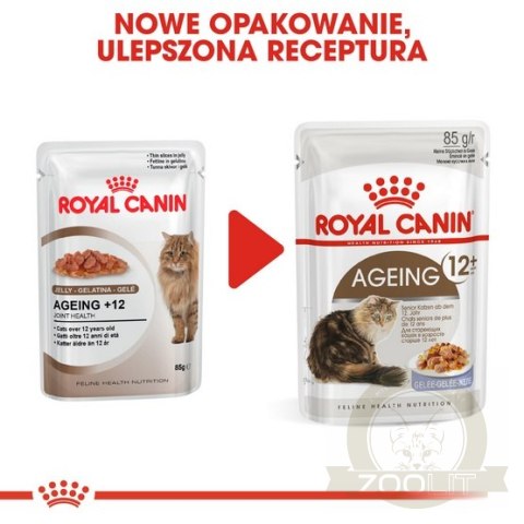 Royal Canin Ageing +12 karma mokra w galaretce dla kotów dojrzałych saszetka 85g Royal Canin Ageing +12 karma mokra w galaretce dla kotów dojrzałych saszetka 85g