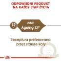 Royal Canin Ageing +12 karma mokra w galaretce dla kotów dojrzałych saszetka 85g
