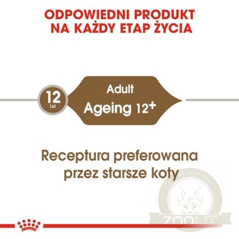 Royal Canin Ageing +12 karma mokra w galaretce dla kotów dojrzałych saszetka 85g Royal Canin Ageing +12 karma mokra w galaretce dla kotów dojrzałych saszetka 85g