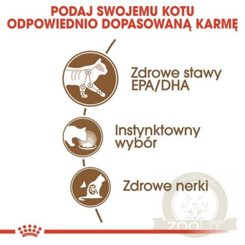Royal Canin Ageing +12 karma mokra w galaretce dla kotów dojrzałych saszetka 85g Royal Canin Ageing +12 karma mokra w galaretce dla kotów dojrzałych saszetka 85g