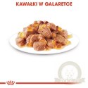 Royal Canin Ageing +12 karma mokra w galaretce dla kotów dojrzałych saszetka 85g