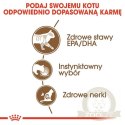 Royal Canin Ageing +12 karma mokra w sosie dla kotów dojrzałych saszetka 85g