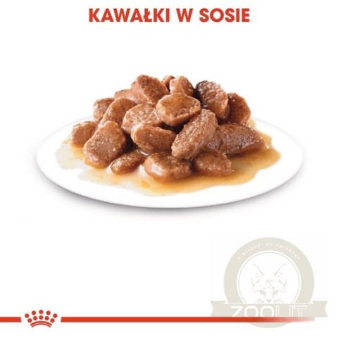 Royal Canin Ageing +12 karma mokra w sosie dla kotów dojrzałych saszetka 85g Royal Canin Ageing +12 karma mokra w sosie dla kotów dojrzałych saszetka 85g