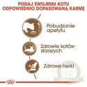 Royal Canin Ageing +12 karma sucha dla kotów dojrzałych 400g