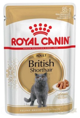 Royal Canin British Shorthair karma mokra w sosie dla kotów dorosłych rasy brytyjski krótkowłosy saszetka 85g
