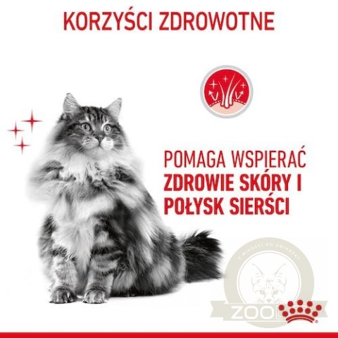Royal Canin Hair & Skin Care karma mokra w galaretce dla kotów dorosłych, lśniąca sierść i zdrowa skóra saszetka 85g Royal Canin Hair & Skin Care karma mokra w galaretce dla kotów dorosłych, lśniąca sierść i zdrowa skóra saszetka 85g