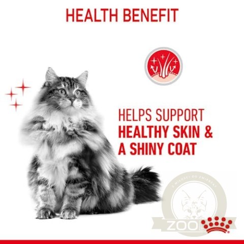 Royal Canin Hair & Skin Care w sosie karma mokra dla kotów dorosłych, zdrowa skóra, piękna sierść saszetka 85g Royal Canin Hair & Skin Care w sosie karma mokra dla kotów dorosłych, zdrowa skóra, piękna sierść saszetka 85g