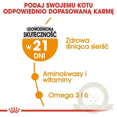Royal Canin Hair&Skin Care karma sucha dla kotów dorosłych, lśniąca sierść i zdrowa skóra 2kg Royal Canin Hair&Skin Care karma sucha dla kotów dorosłych, lśniąca sierść i zdrowa skóra 2kg