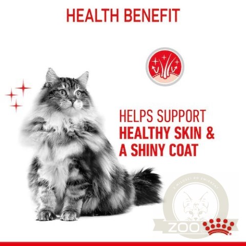 Royal Canin Hair&Skin Care karma sucha dla kotów dorosłych, lśniąca sierść i zdrowa skóra 2kg Royal Canin Hair&Skin Care karma sucha dla kotów dorosłych, lśniąca sierść i zdrowa skóra 2kg