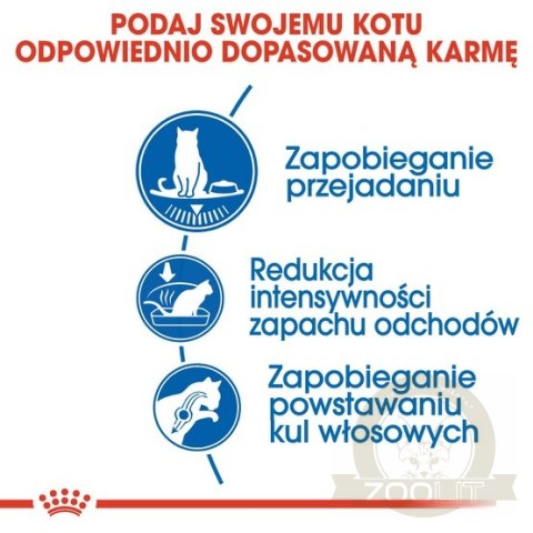 Royal Canin Indoor Apetite Control karma sucha dla kotów dorosłych przebywających w domu, domagających się jedzenia 400g Royal Canin Indoor Apetite Control karma sucha dla kotów dorosłych przebywających w domu, domagających się jedzenia 400g