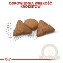 Royal Canin Indoor Apetite Control karma sucha dla kotów dorosłych przebywających w domu, domagających się jedzenia 400g