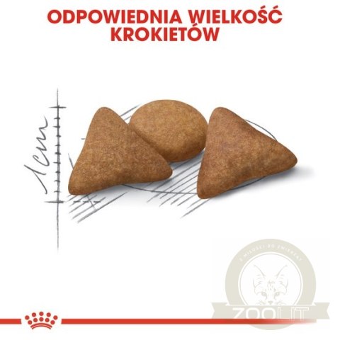 Royal Canin Indoor Apetite Control karma sucha dla kotów dorosłych przebywających w domu, domagających się jedzenia 400g Royal Canin Indoor Apetite Control karma sucha dla kotów dorosłych przebywających w domu, domagających się jedzenia 400g