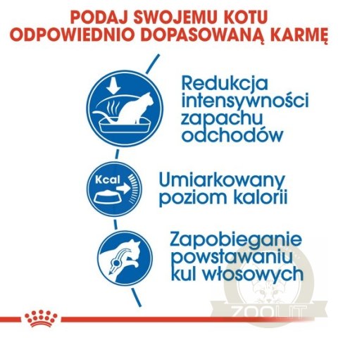 Royal Canin Indoor karma sucha dla kotów dorosłych, przebywających wyłącznie w domu 2kg Royal Canin Indoor karma sucha dla kotów dorosłych, przebywających wyłącznie w domu 2kg