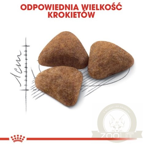 Royal Canin Indoor karma sucha dla kotów dorosłych, przebywających wyłącznie w domu 2kg Royal Canin Indoor karma sucha dla kotów dorosłych, przebywających wyłącznie w domu 2kg