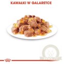 Royal Canin Instinctive w galaretce karma mokra dla kotów dorosłych, wybrednych saszetka 85g