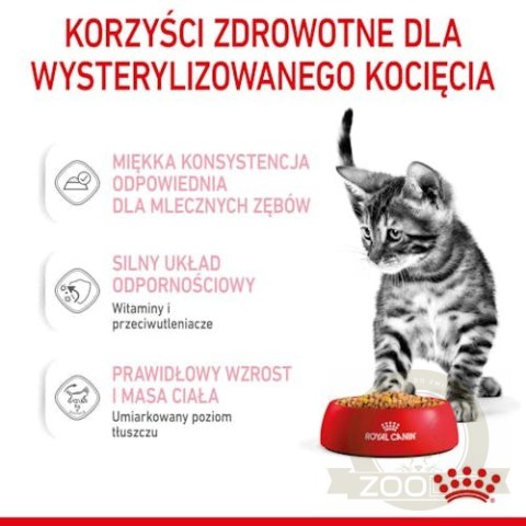 Royal Canin Kitten Sterilised karma mokra w galaretce dla kociąt od 6 do 12 miesiąca życia, sterylizowanych saszetka 85g Royal Canin Kitten Sterilised karma mokra w galaretce dla kociąt od 6 do 12 miesiąca życia, sterylizowanych saszetka 85g