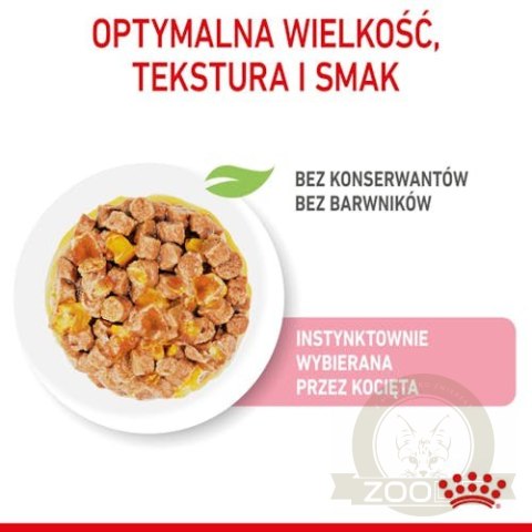 Royal Canin Kitten Sterilised karma mokra w galaretce dla kociąt od 6 do 12 miesiąca życia, sterylizowanych saszetka 85g Royal Canin Kitten Sterilised karma mokra w galaretce dla kociąt od 6 do 12 miesiąca życia, sterylizowanych saszetka 85g