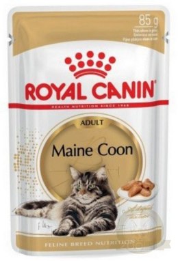 Royal Canin Maine Coon karma mokra w sosie dla kotów dorosłych rasy maine coon saszetka 85g
