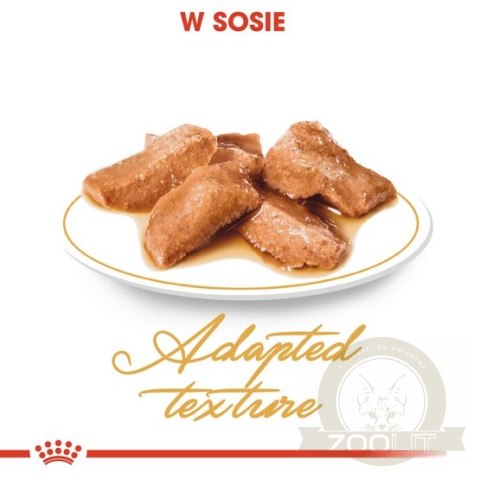 Royal Canin Maine Coon karma mokra w sosie dla kotów dorosłych rasy maine coon saszetka 85g Royal Canin Maine Coon karma mokra w sosie dla kotów dorosłych rasy maine coon saszetka 85g