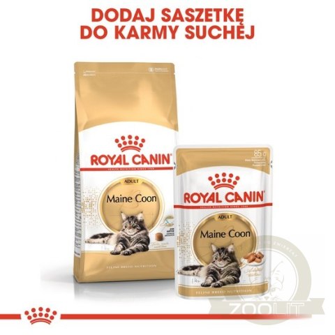 Royal Canin Maine Coon karma mokra w sosie dla kotów dorosłych rasy maine coon saszetka 85g Royal Canin Maine Coon karma mokra w sosie dla kotów dorosłych rasy maine coon saszetka 85g