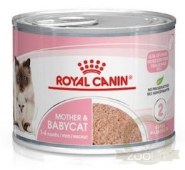 Royal Canin Mother & Babycat Mousse karma mokra - mus dla kociąt i kotek karmiących puszka 195g