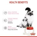 Royal Canin Mother & Babycat Mousse karma mokra - mus dla kociąt i kotek karmiących puszka 195g