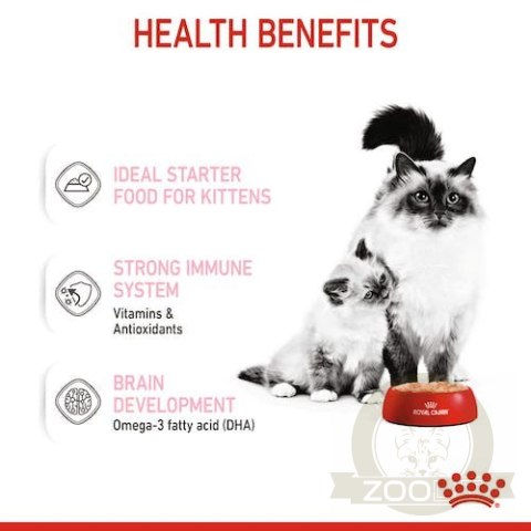 Royal Canin Mother & Babycat Mousse karma mokra - mus dla kociąt i kotek karmiących puszka 195g Royal Canin Mother & Babycat Mousse karma mokra - mus dla kociąt i kotek karmiących puszka 195g