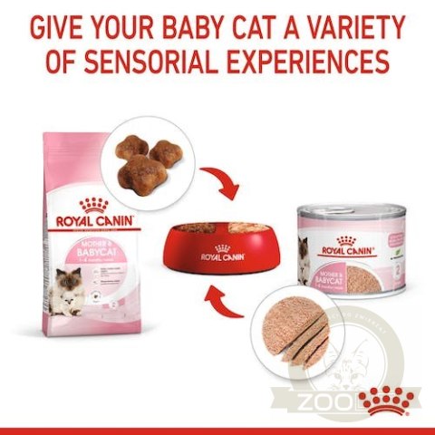 Royal Canin Mother & Babycat Mousse karma mokra - mus dla kociąt i kotek karmiących puszka 195g Royal Canin Mother & Babycat Mousse karma mokra - mus dla kociąt i kotek karmiących puszka 195g