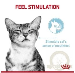 Royal Canin Sensory Feel w sosie karma mokra dla kotów dorosłych saszetka 85g