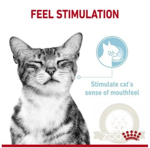 Royal Canin Sensory Feel w sosie karma mokra dla kotów dorosłych saszetka 85g Royal Canin Sensory Feel w sosie karma mokra dla kotów dorosłych saszetka 85g