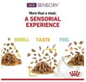 Royal Canin Sensory Feel w sosie karma mokra dla kotów dorosłych saszetka 85g