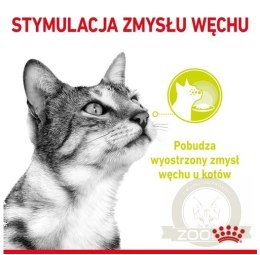 Royal Canin Sensory Smell w sosie karma mokra dla kotów dorosłych saszetka 85g