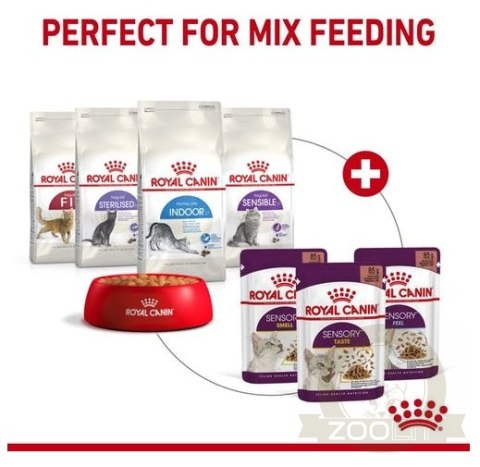 Royal Canin Sensory Smell w sosie karma mokra dla kotów dorosłych saszetka 85g Royal Canin Sensory Smell w sosie karma mokra dla kotów dorosłych saszetka 85g