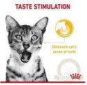 Royal Canin Sensory Taste w sosie karma mokra dla kotów dorosłych saszetka 85g