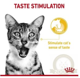 Royal Canin Sensory Taste w sosie karma mokra dla kotów dorosłych saszetka 85g