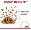 Royal Canin Sensory Taste w sosie karma mokra dla kotów dorosłych saszetka 85g