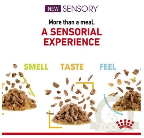 Royal Canin Sensory Taste w sosie karma mokra dla kotów dorosłych saszetka 85g Royal Canin Sensory Taste w sosie karma mokra dla kotów dorosłych saszetka 85g