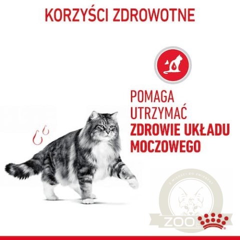 Royal Canin Urinary Care karma sucha dla kotów dorosłych, ochrona dolnych dróg moczowych 400g