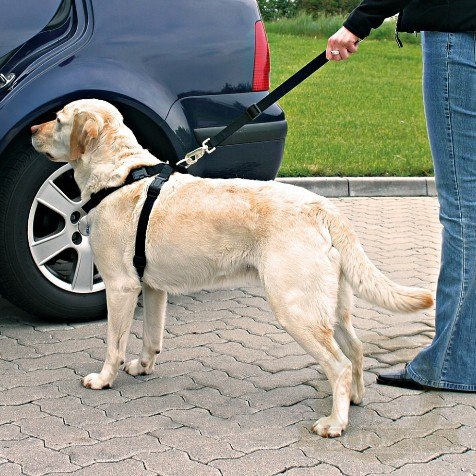 Trixie Szelki samochodowe dla psa L [1292]