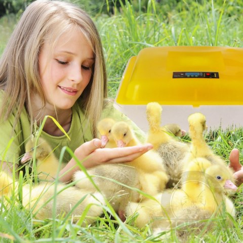 Kruger Meier Pr0viNest 88 - inkubator z termostatem na 88 jaj