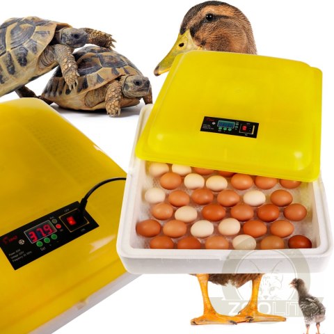 Kruger Meier Pr0viNest 88 - inkubator z termostatem na 88 jaj