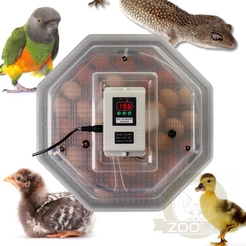 Kruger Meier ProLexor 60 - inkubator z termostatem na 60 jaj Kruger Meier ProLexor 60 - inkubator z termostatem na 60 jaj