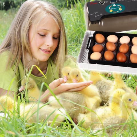 Kruger Meier ProNestix 12 - inkubator z termostatem i LED na 12 jaj