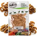 ProBugs Eco-Fresh Mealworm 15 x 20g - świeże larwy mącznika 15 saszetek