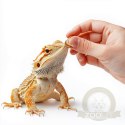 ProBugs Eco-Fresh Mealworm 15 x 20g - świeże larwy mącznika 15 saszetek