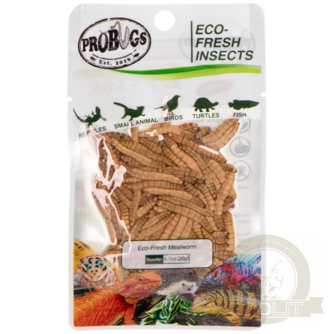 ProBugs Eco-Fresh Mealworm 15 x 20g - świeże larwy mącznika 15 saszetek ProBugs Eco-Fresh Mealworm 15 x 20g - świeże larwy mącznika 15 saszetek