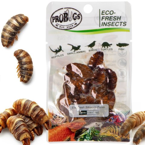 Probugs Reptiles Set - zestaw robaków dla średnich gadów Probugs Reptiles Set - zestaw robaków dla średnich gadów